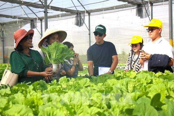 Cải cách thể chế, mở rộng thị trường tạo dư địa tăng trưởng cho ngành nông nghiệp