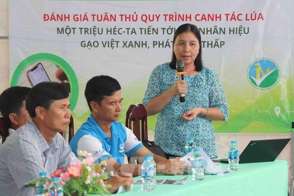 Cần Thơ thí điểm chứng nhận "Gạo Việt xanh" bằng ứng dụng số