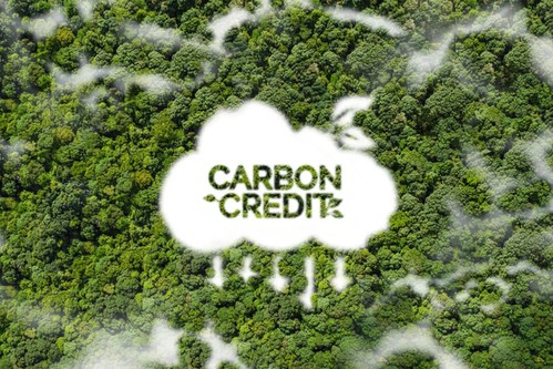 Sẵn sàng khai trương Sàn giao dịch carbon trong nước vào ngày 29/6