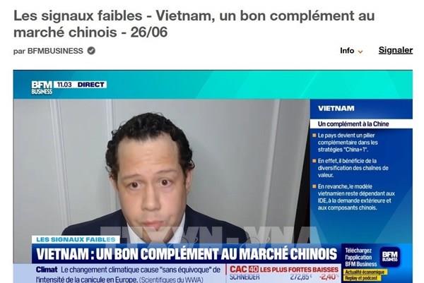 Chuyên gia Pháp đánh giá cao triển vọng phát triển của Việt Nam