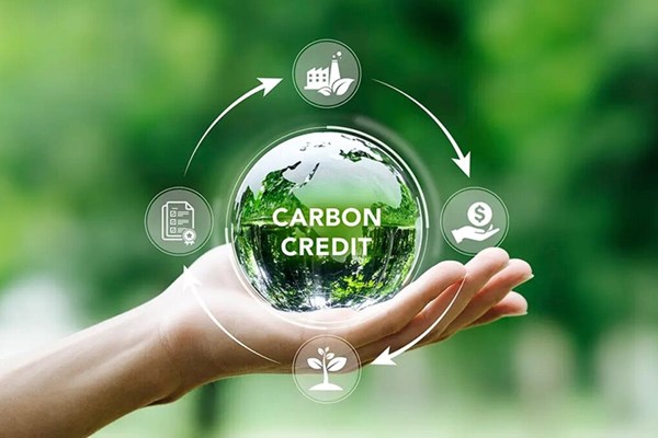 DNSE hoàn tất hạ tầng, sẵn sàng tham gia thị trường carbon từ ngày 29/6