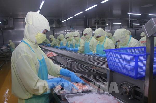 Tạo nền tăng tốc cho xuất khẩu nông lâm sản