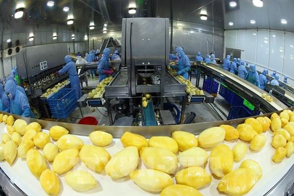 Xuất khẩu nông, lâm, thủy sản tăng 6% trong 6 tháng đầu năm