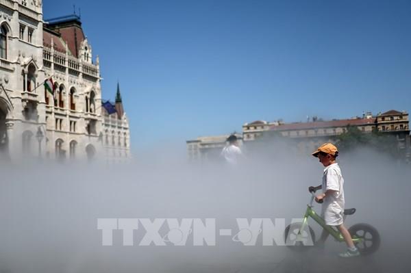 Châu Âu căng mình ứng phó nắng nóng cực đoan, cháy rừng lan rộng