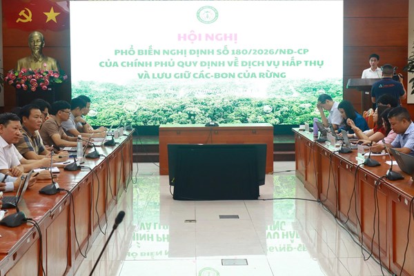 Thiết lập khung pháp lý toàn diện cho dịch vụ carbon rừng
