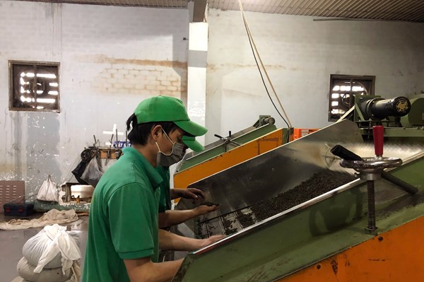 TP. Hồ Chí Minh đẩy nhanh giải quyết thủ tục giải thể doanh nghiệp