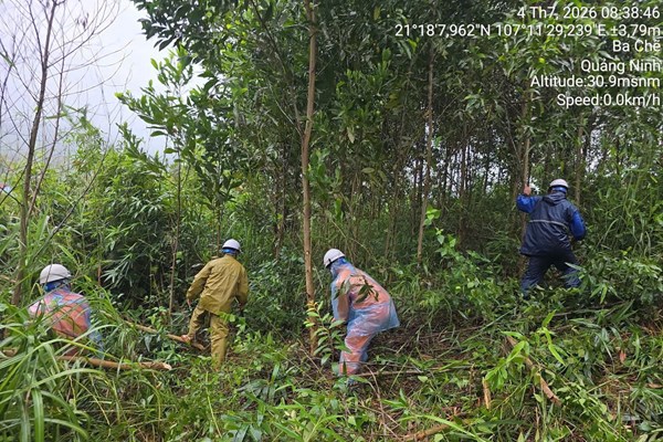 Điện lực miền Bắc chuẩn bị từ sớm, sẵn sàng khôi phục cấp điện sau thiên tai