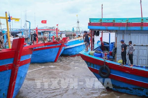 Tám tỉnh, thành phố phía Bắc chủ động ứng phó với lũ
