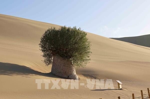 Khám phá khu danh thắng Minh Sa Sơn – Nguyệt Nha Tuyền