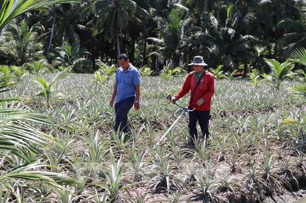 Vĩnh Long tăng giá trị đất nhờ mô hình "lấy ngắn nuôi dài"