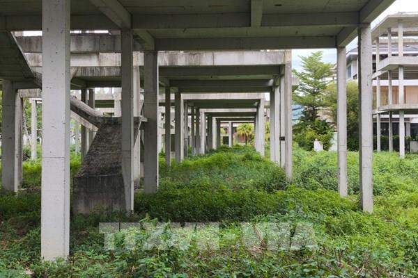 Sửa Luật Đất đai: Xóa bỏ tư duy "một cửa nhiều khóa" bằng liên thông dữ liệu