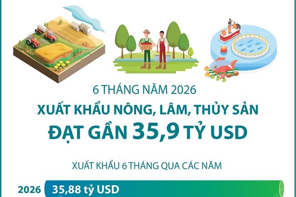 6 tháng năm 2026: Xuất khẩu nông, lâm, thủy sản đạt gần 35,9 tỷ USD