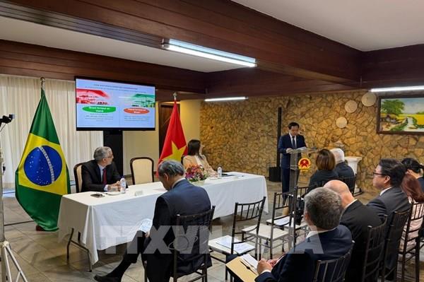 Thúc đẩy trao đổi thương mại và đầu tư Việt Nam - Brazil