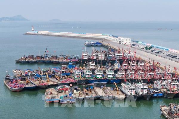 Bão BAVI áp sát, Trung Quốc phát cảnh báo mưa bão ở mức cao nhất