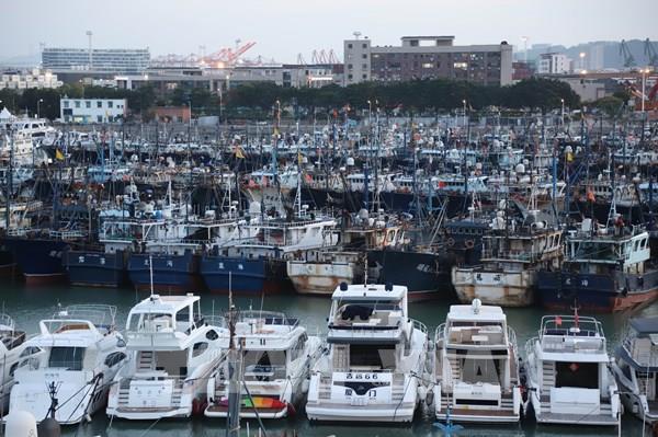 Nhật Bản hủy nhiều chuyến bay do bão Bavi