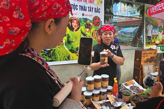Không gian số bùng nổ từ thôn