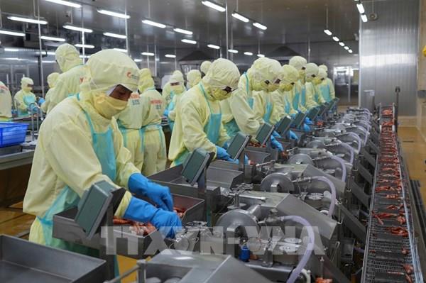 Cấp thiết tái cấu trúc chuỗi cung ứng và thị trường ngành hàng chủ lực