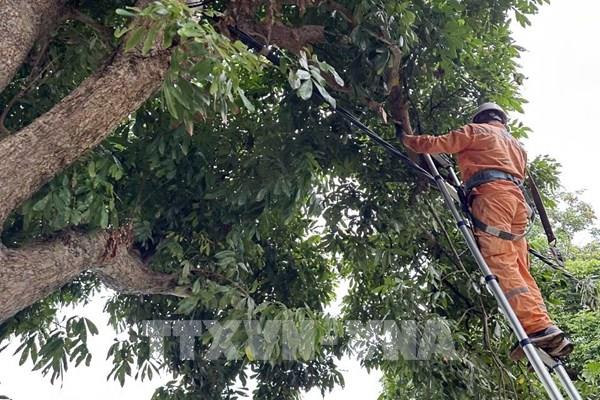 Điện lực Hải Phòng đảm bảo cung ứng điện trong mùa mưa bão