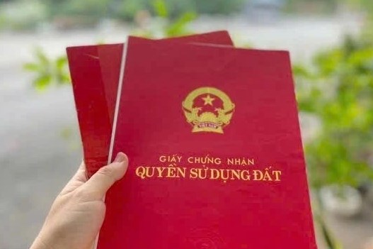 Nghệ An: Vấn đề đất đai làm "nóng" nghị trường HĐND