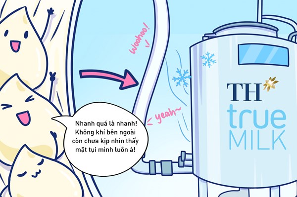 Hành trình khép kín hoàn hảo của giọt sữa tươi sạch TH true MILK