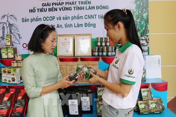 Hồ tiêu Việt Nam: Chuyển đổi chuỗi xanh để bứt phá xuất khẩu