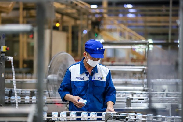 TH true MILK vào Top "Nhãn hiệu nổi tiếng Việt Nam 2026"