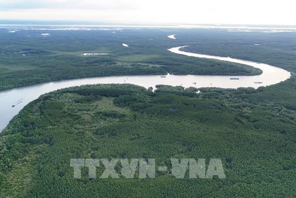 TP. Hồ Chí Minh đón cơ hội phát triển thị trường tín chỉ carbon rừng
