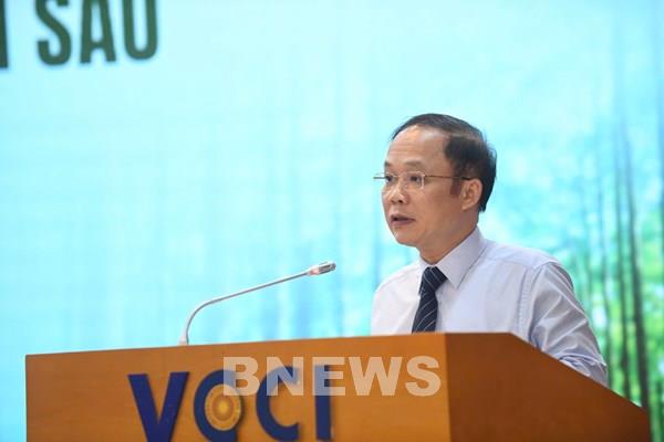 Bàn giải pháp gỡ điểm nghẽn phát triển vùng nguyên liệu cho ngành gỗ