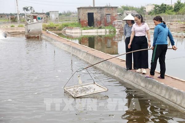 Trao “cần câu”, tạo sinh kế mở thêm cơ hội thoát nghèo cho người dân
