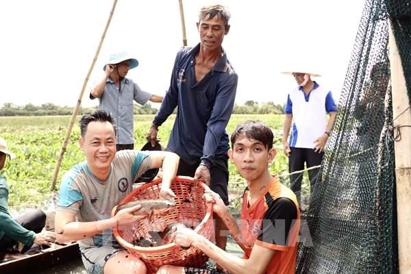 Bảo tàng sống giữa Đồng Tháp Mười có gì thu hút du khách?