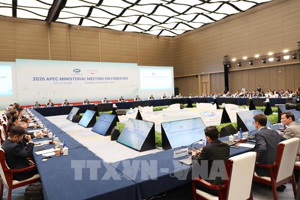 Việt Nam sẵn sàng cùng các nền kinh tế APEC thúc đẩy hợp tác về quản lý rừng