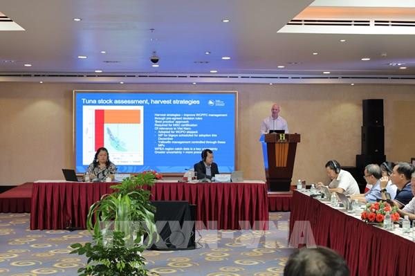 Việt Nam trước bước ngoặt lớn trên thị trường cá ngừ thế giới