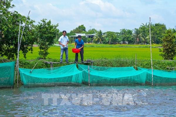 Từ 10/8, người dân Tây Ninh được vay đến 1 tỷ đồng để làm nhà