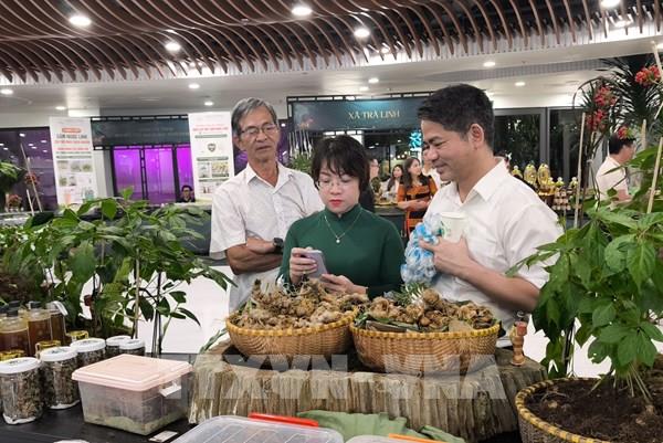 Khai mạc Lễ hội Sâm Ngọc Linh và dược liệu quốc tế Đà Nẵng 2026