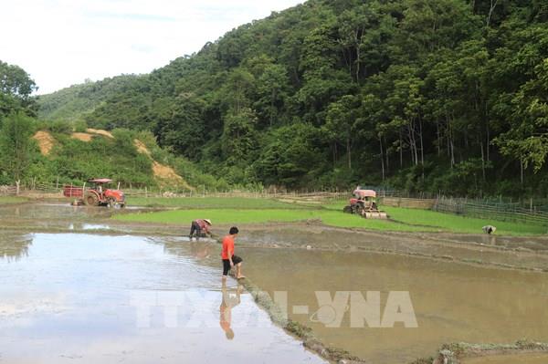 Bình yên trở lại sau “cơn sốt vàng”