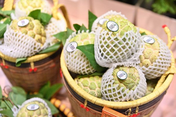 Na Chi Lăng hút khách, tiêu thụ hơn 1,2 tấn chỉ sau 3 ngày tại Hà Nội