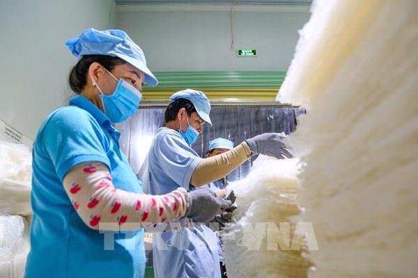 Tây Ninh làm gì để doanh nghiệp vươn ra thị trường thế giới?