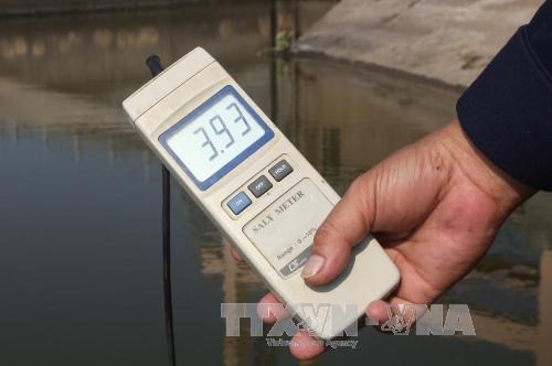 Xâm nhập mặn có thể lấn sâu tại Đồng bằng sông Cửu Long do tác động của El Nino