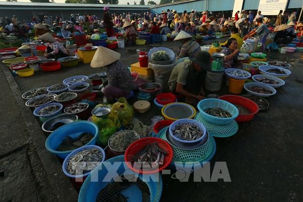 Độc đáo chợ "chồm hổm" níu giữ hồn quê giữa lòng Cần Thơ
