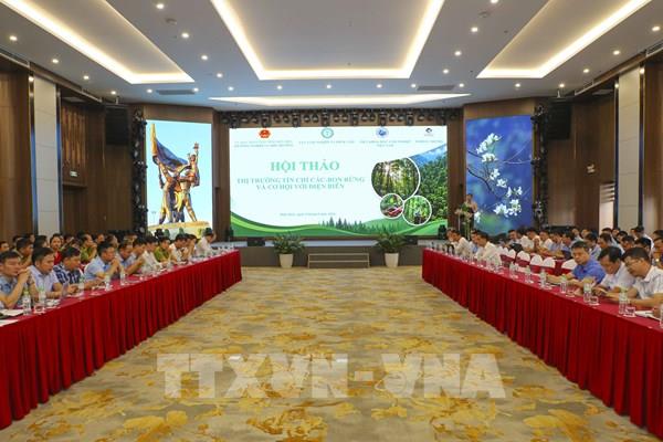 Điện Biên từng bước hình thành thị trường tín chỉ các-bon rừng