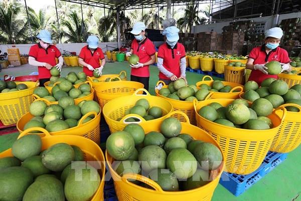 EuroCham: Niềm tin kinh doanh của doanh nghiệp châu Âu tại Việt Nam duy trì ở mức cao