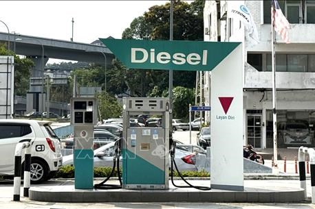 Phát triển thiết bị biến dầu ăn đã qua sử dụng thành dầu diesel sinh học