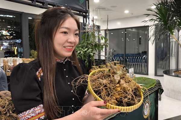 Khi sinh viên mang chuyển đổi số lên miền núi