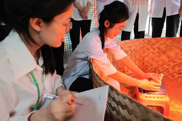 Học viện Nông nghiệp Việt Nam công bố điểm chuẩn 2026: Sư phạm công nghệ bứt phá dẫn đầu