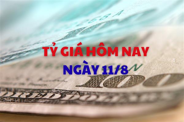 Tỷ giá hôm nay 11/8: Tỷ giá trung tâm nối dài đà tăng
