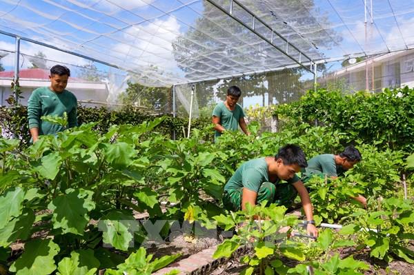 Rời quân ngũ có việc làm: Đòn bẩy đột phá từ chính sách Tây Ninh