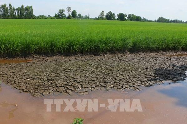 Nền tảng thích ứng với biến đổi khí hậu - Bài cuối: Khi thích ứng trở thành chủ động