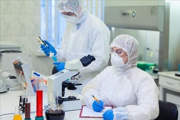 AI tạo virus mới tiêu diệt vi khuẩn kháng thuốc