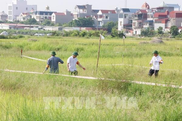 Hải Phòng cưỡng chế, thu hồi gần 3.000m2 đất để xây dựng khu dân cư mới