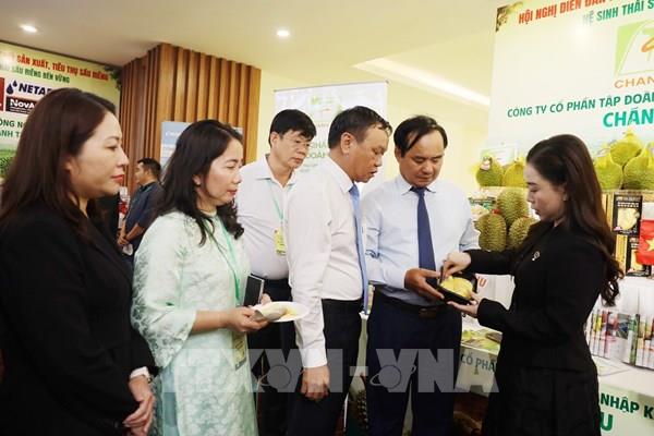 Kết nối sản xuất, tiêu thụ, xây dựng hệ sinh thái sầu riêng bền vững